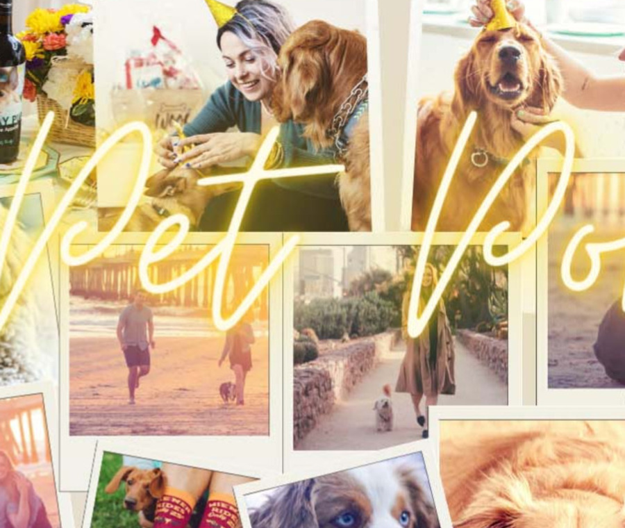 People with their pets