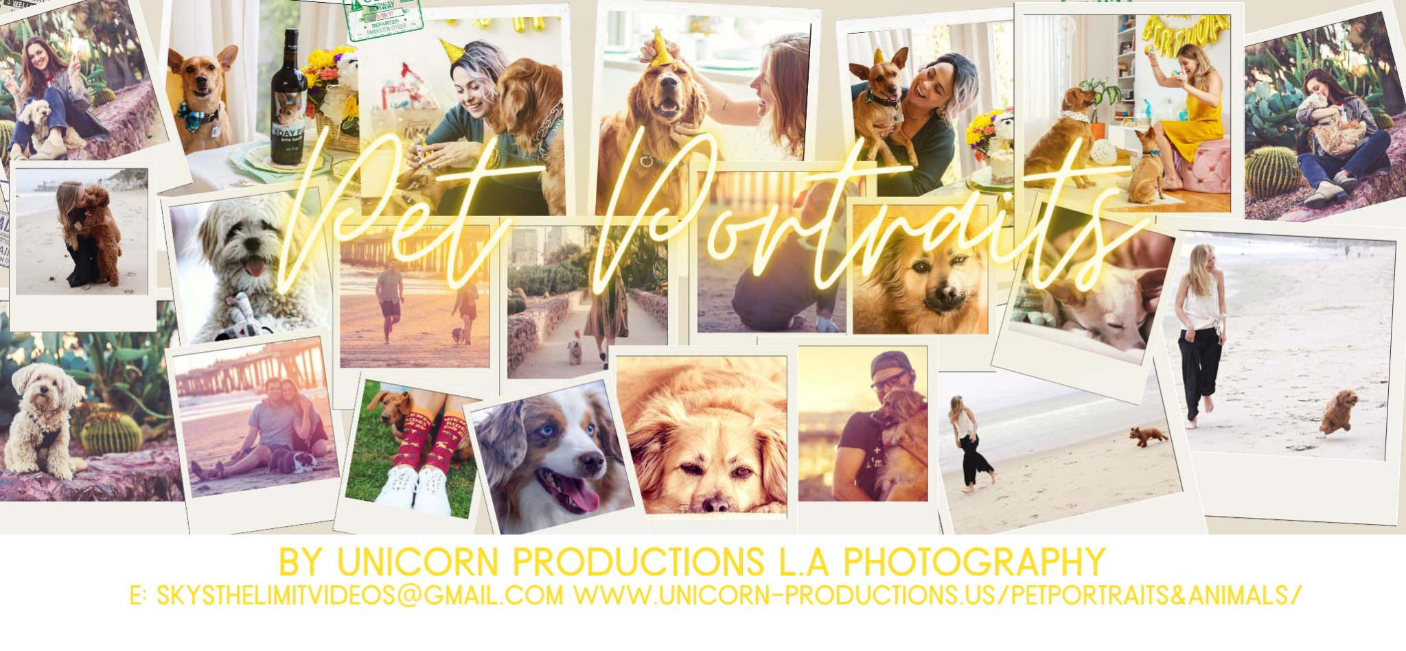 Pet portraits