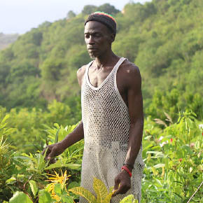 Government Photojournalism:Montserrat