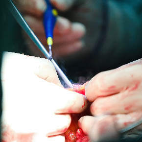Medical Photojournalism:Honduras-for the AHPBA