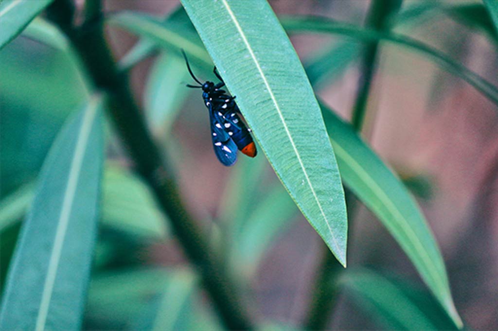image01