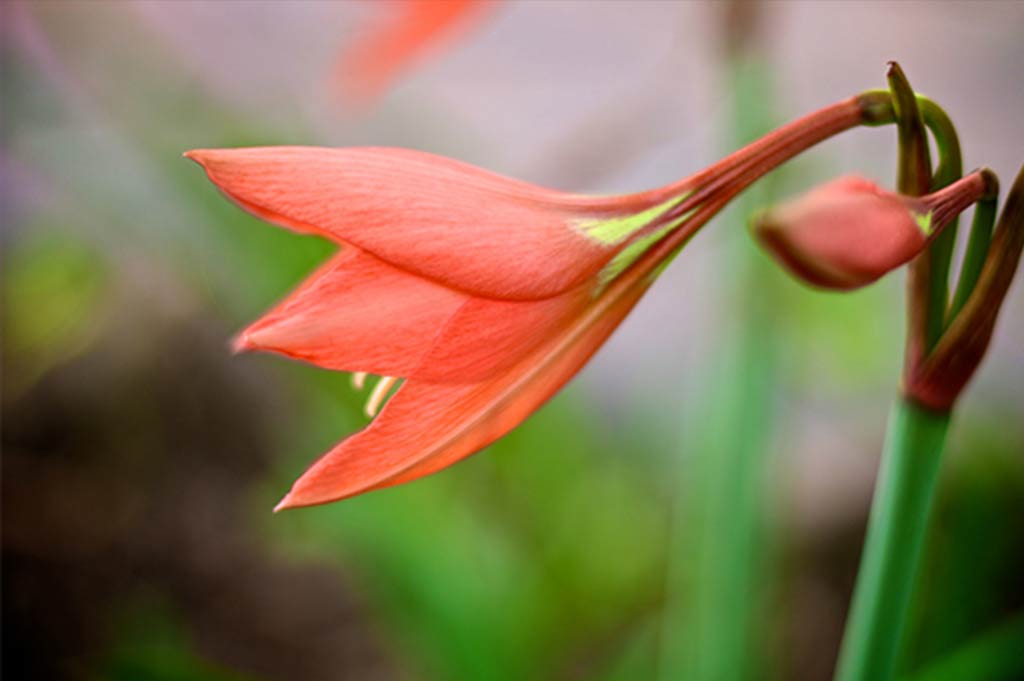 image01