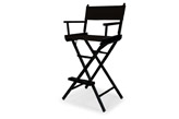 Director's Chair