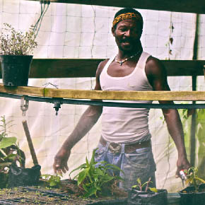 Government Photojournalism:Montserrat