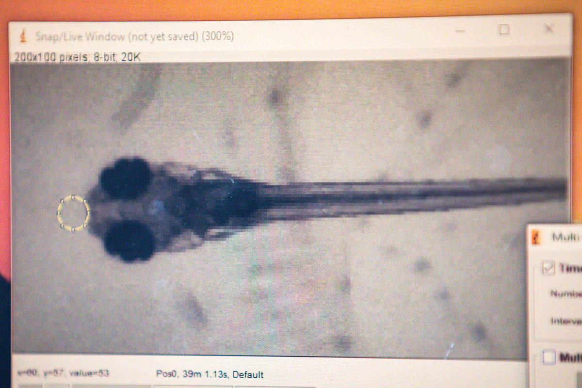 Medical Science Photojournalism:Professors U.S.C