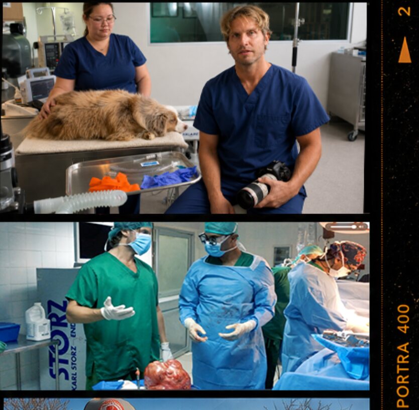 Sky B documenting wildlife veterinary and surgical medical work