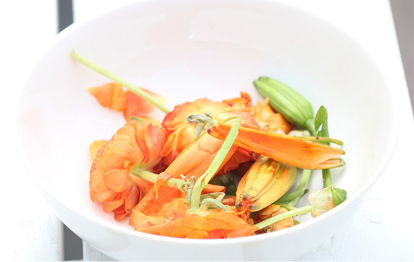 Danielle & Mike's Wedding