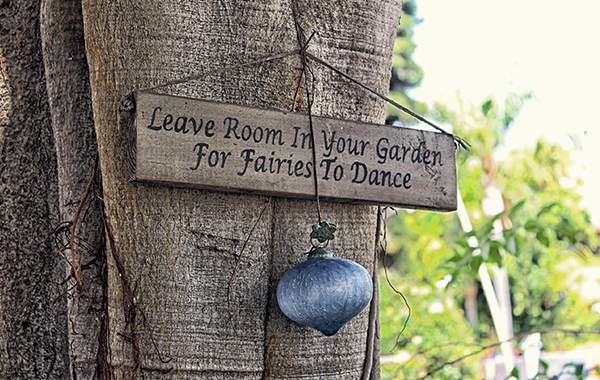 Danielle & Mike's Wedding